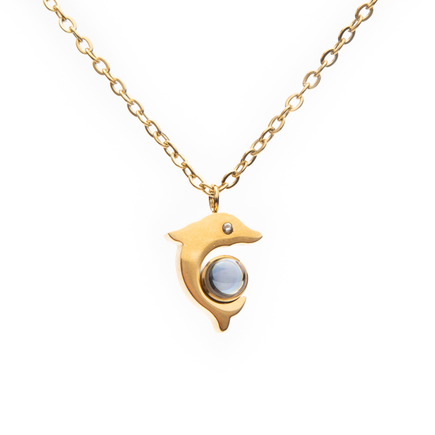 Pendentif Projection Photo Dauphin