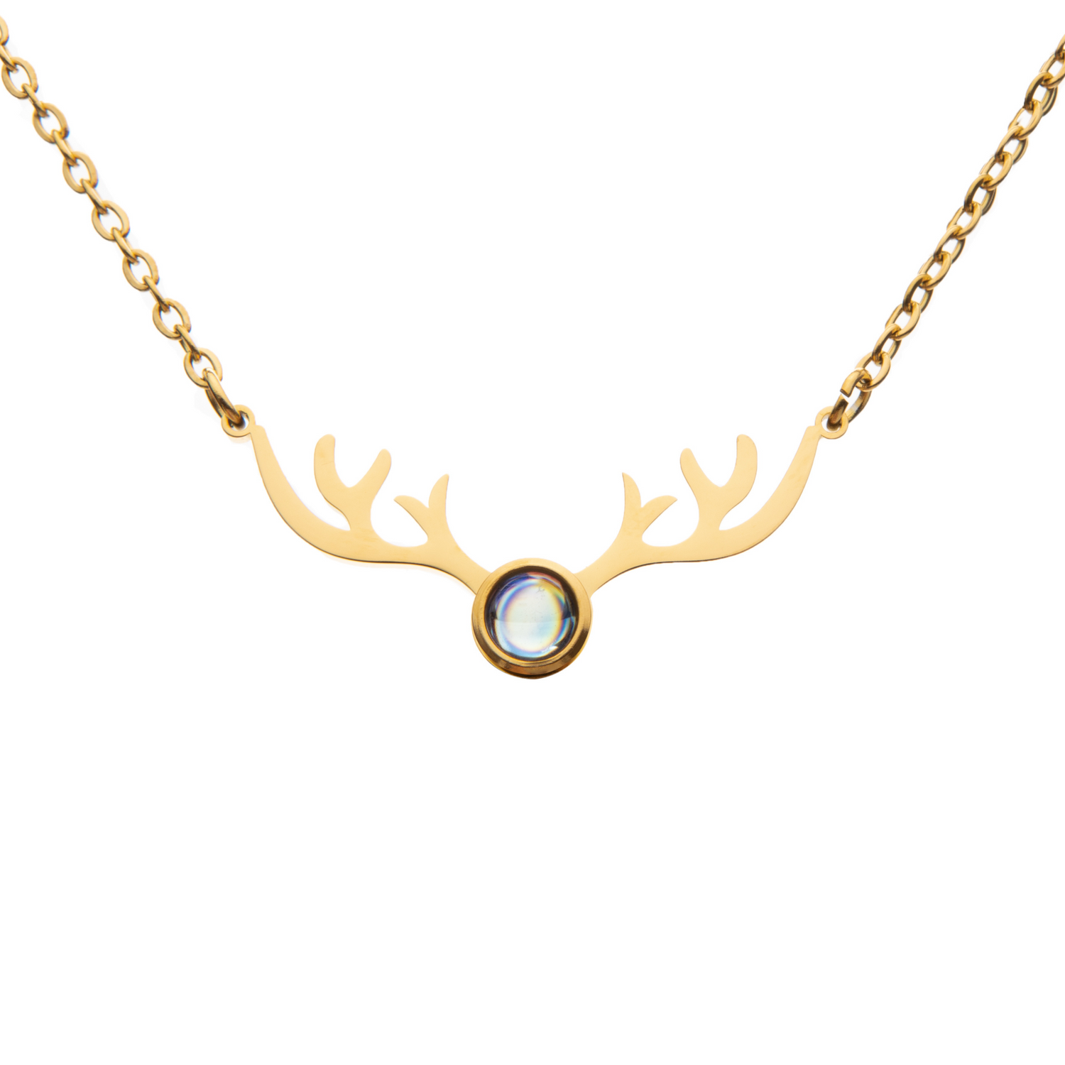 Pendentif Projection Photo Cerf