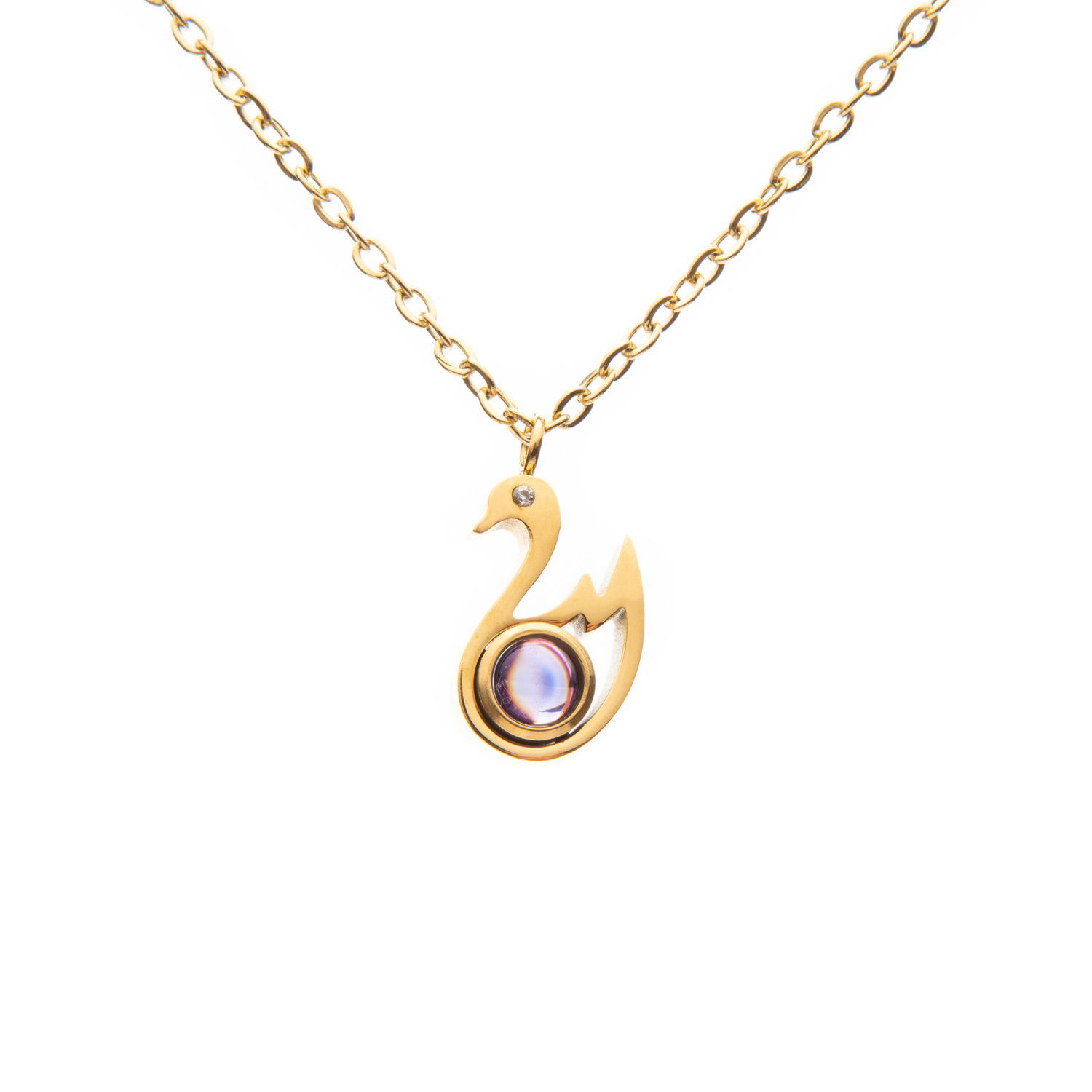 Pendentif Projection Photo Cygne