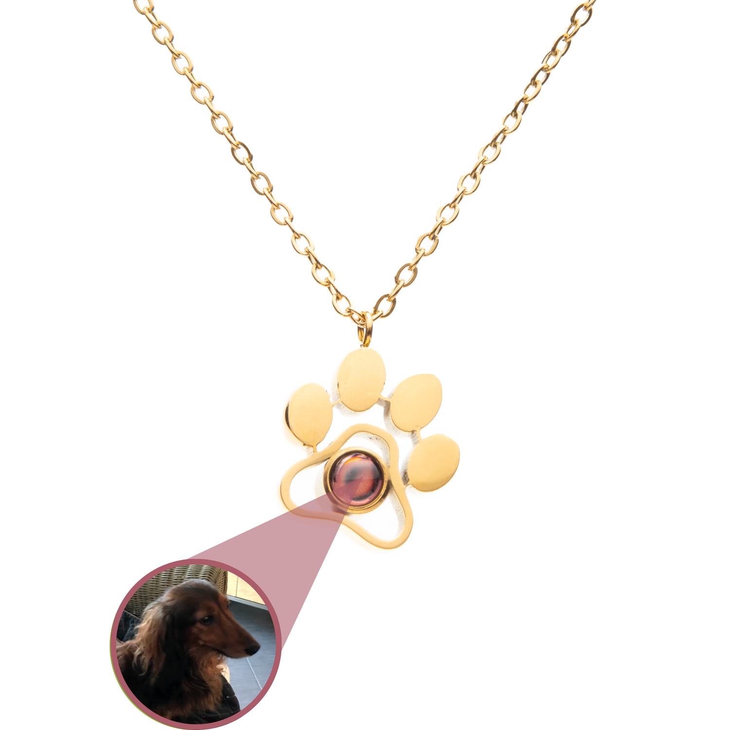 Pendentif Projection Photo Patte